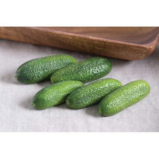 Adam Gherkin - Organic (F1) Cucumber Seed