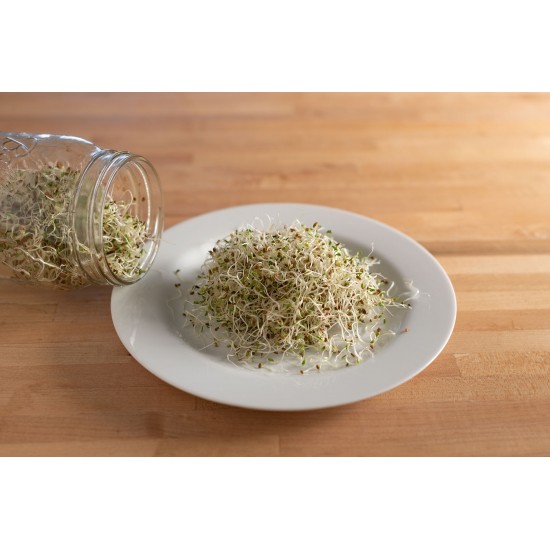 Alfalfa - Organic Sprouting Seeds
