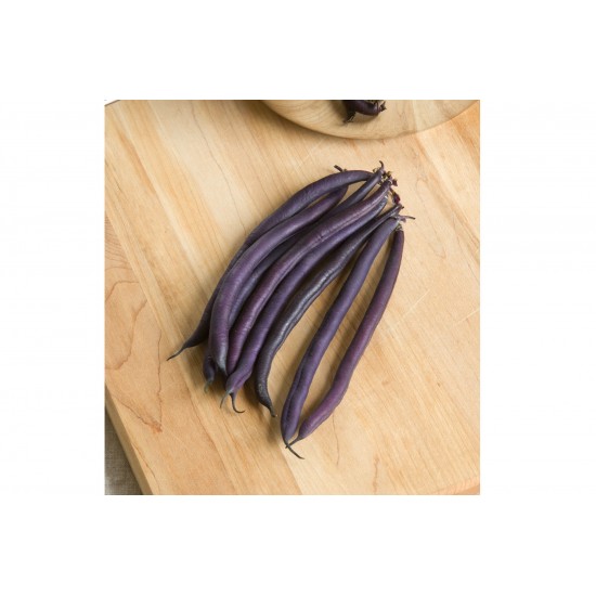 Amethyst - Purple Bush Bean Seeds