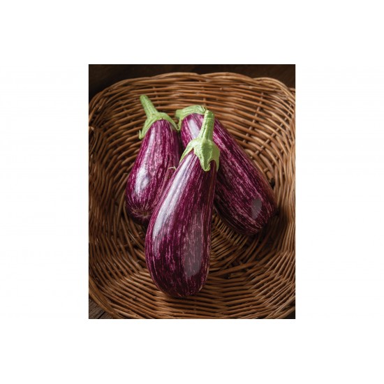 Annina - Organic (F1) Eggplant Seed