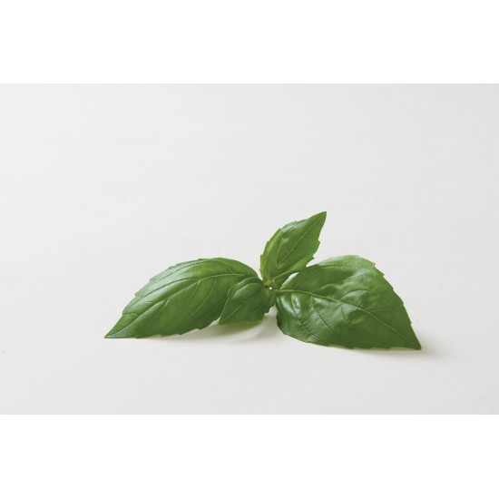Aroma 2 - Organic Basil Seed