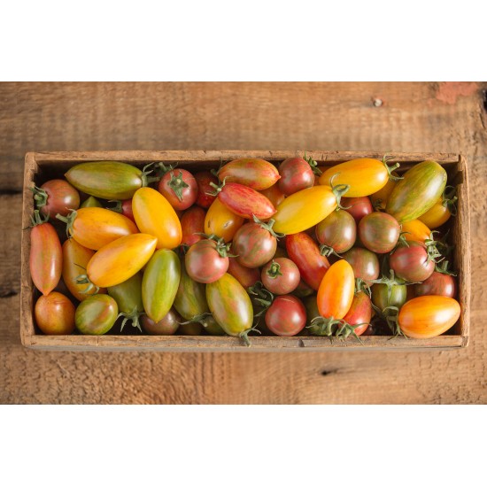 Artisan Tomato™ Collection - Organic Seed
