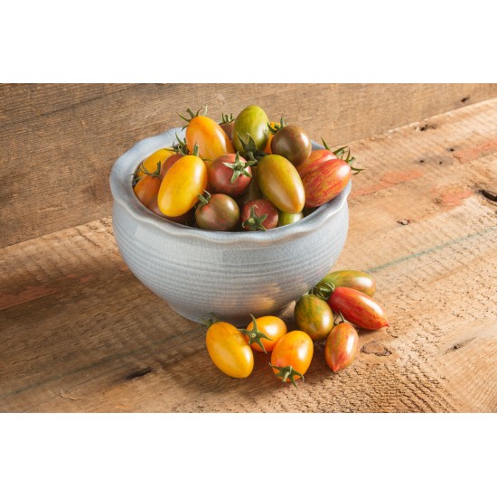 Artisan Tomato™ Collection - Organic Seed