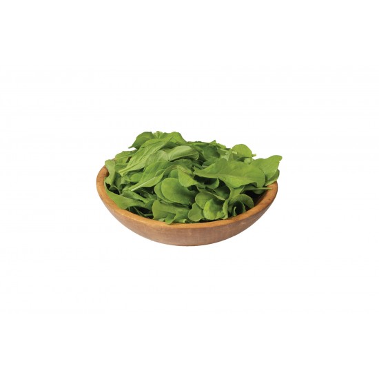 Astro - Organic Salad Arugula Seed