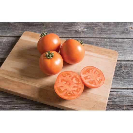 BHN 871 - (F1) Tomato Seed
