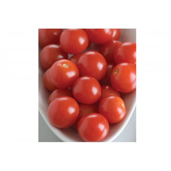 BHN 968 - (F1) Tomato Seed
