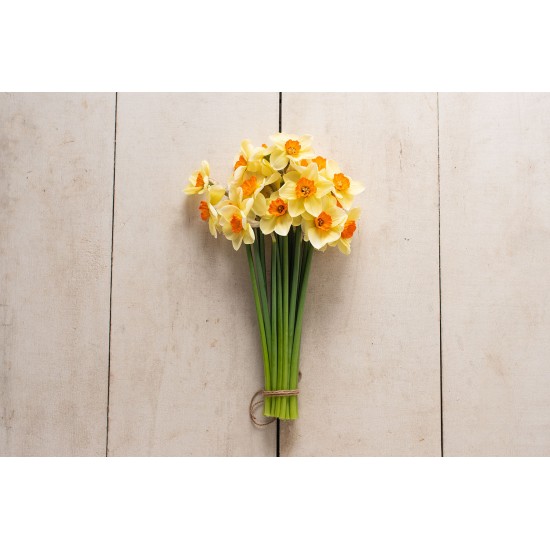 Barrett Browning - Narcissus Bulb