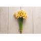 Barrett Browning - Narcissus Bulb