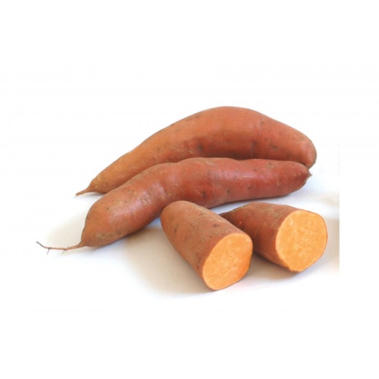 Beauregard - Sweet Potato Slips