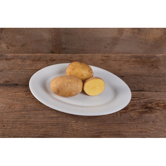 Belmonda - Seed Potatoes
