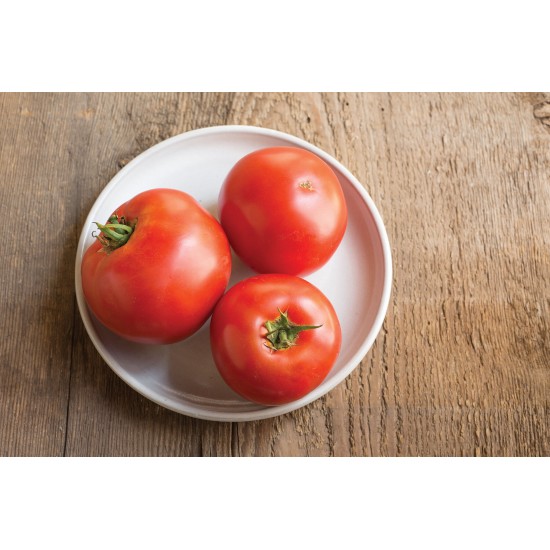 Big Beef - (F1) Tomato Seed