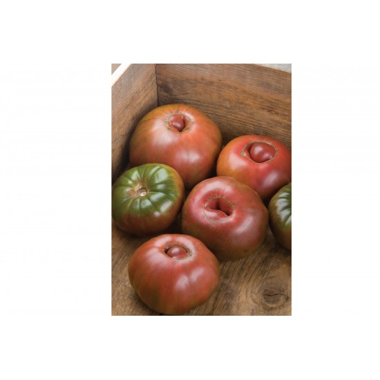Black Krim - Organic Tomato Seed
