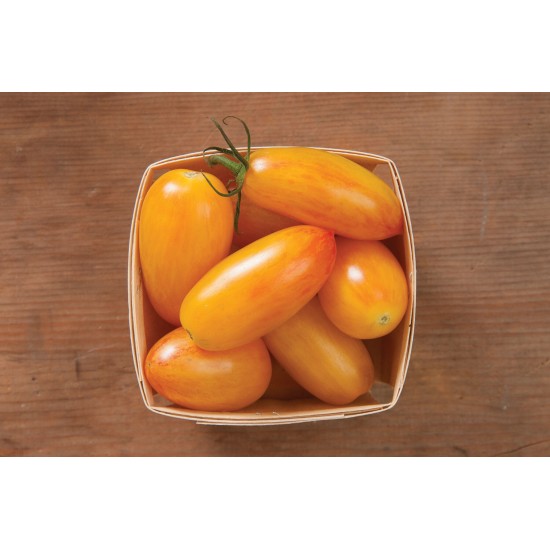 Blush - Organic Tomato Seed