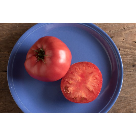 Brandywine - Organic Tomato Seed