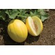 Brilliant - (F1) Melon Seed