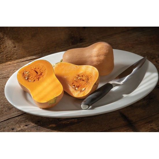Butterbaby - Organic Baby Butternut Squash Seeds