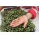 Cabbage, Red - Organic Microgreen Seed