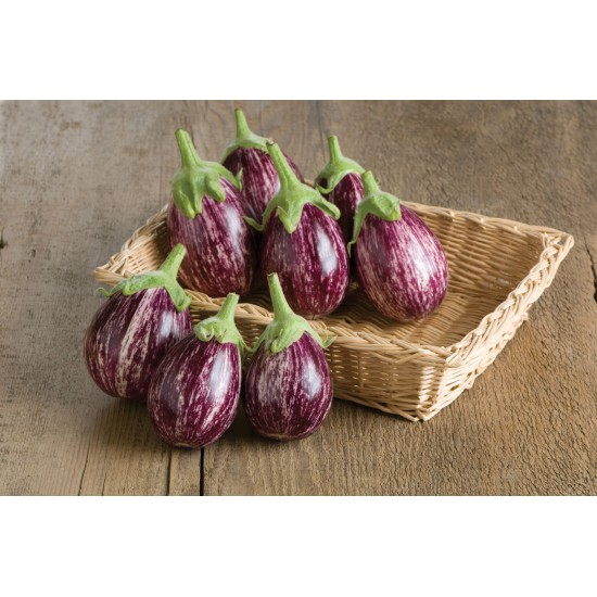 Calliope - (F1) Eggplant Seed
