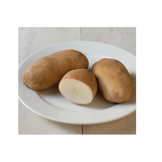 Caribou Russet - Seed Potatoes