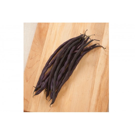 Carminat - Purple Pole Bean Seeds