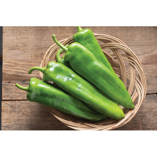 Charger - Anaheim Pepper Seeds (Hatch Chili Seeds)