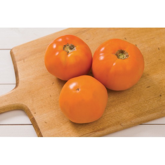 Chef's Choice Orange - (F1) Tomato Seed