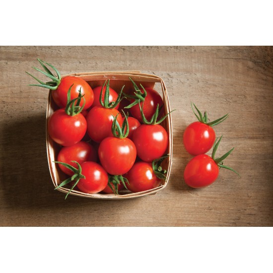 Cherry Bomb - Organic (F1) Tomato Seed