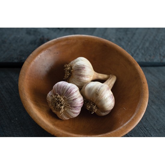 Chesnok Red - Organic Garlic Bulbs
