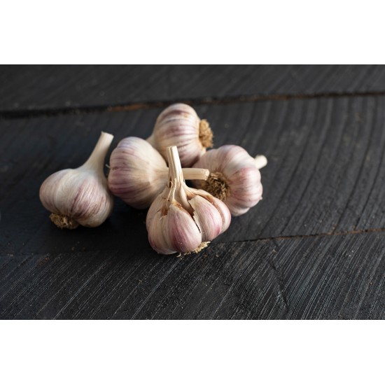 Chesnok Red - Organic Garlic Bulbs