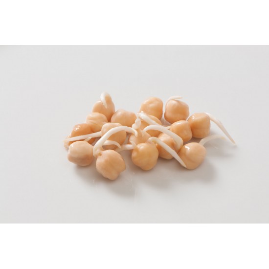 Chickpea Seeds (Garbanzo Bean)