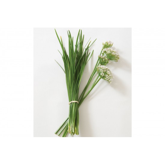 Chinese Leeks/Garlic Chives - Herb Seed