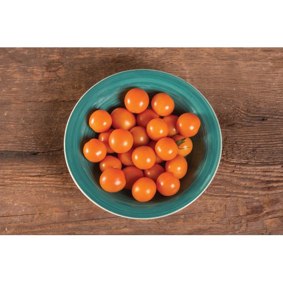 Citrine - Organic (F1) Tomato Seed