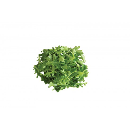 Clearwater - Organic Lettuce Seed