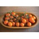 Clementine - Organic (F1) Tomato Seed