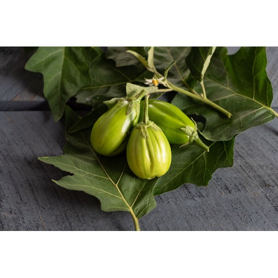 Comprido Verde Claro - Eggplant Seed