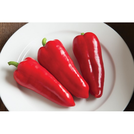 Cornito Rosso - Organic (F1) Corno di Toro Pepper Seed
