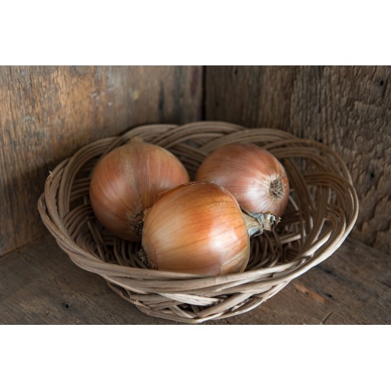 Cortland - Organic  Onion Seeds