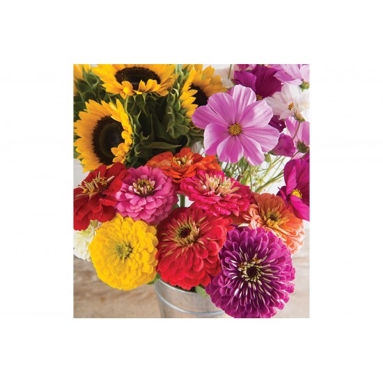 Cut Flower Kit for Market Growers - Flower Seed
