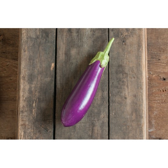 Dancer - (F1) Eggplant Seed