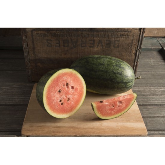 Dark Belle - (F1) Watermelon Seed