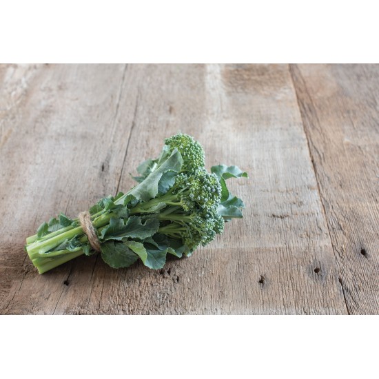 De Cicco - Organic Sprouting Broccoli Seeds