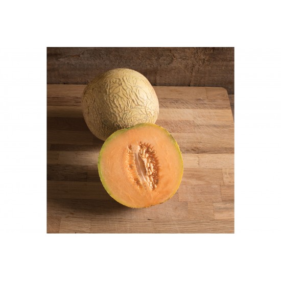 Divergent - Organic (F1) Melon Seed