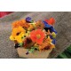 Edible Flower Collection - Flower Seed