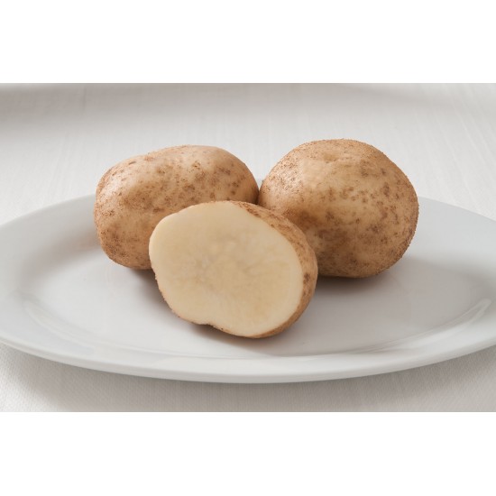Elba - Organic Seed Potatoes