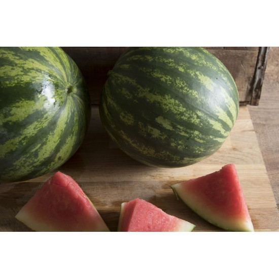 Farmers Wonderful - (F1) Watermelon Seed