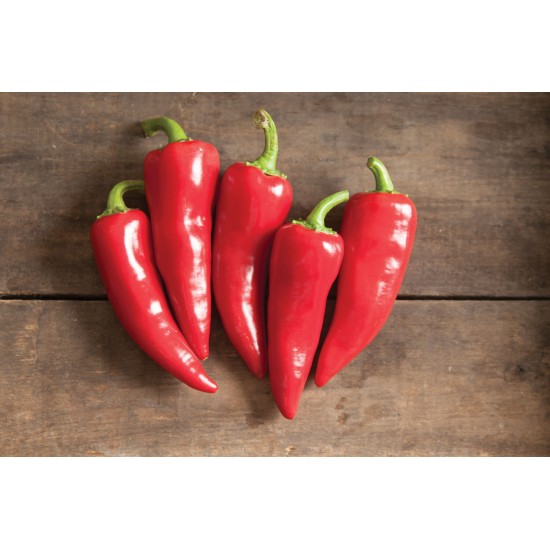 Flaming Flare - (F1) Fresno Pepper Seed