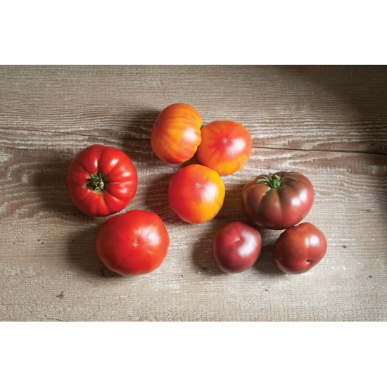 French Heritage Collection - Tomato Seed