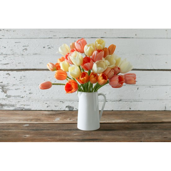 French Tulips - Build Your Own Bulb Mix