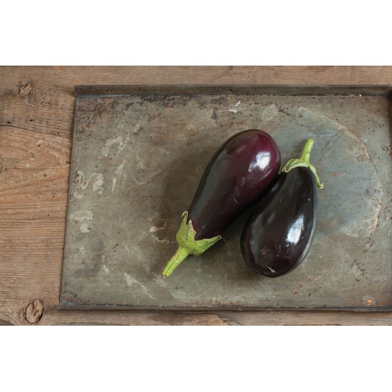 Galine - (F1) Eggplant Seed