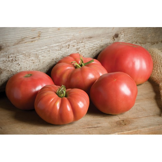 German Johnson - Organic Tomato Seed